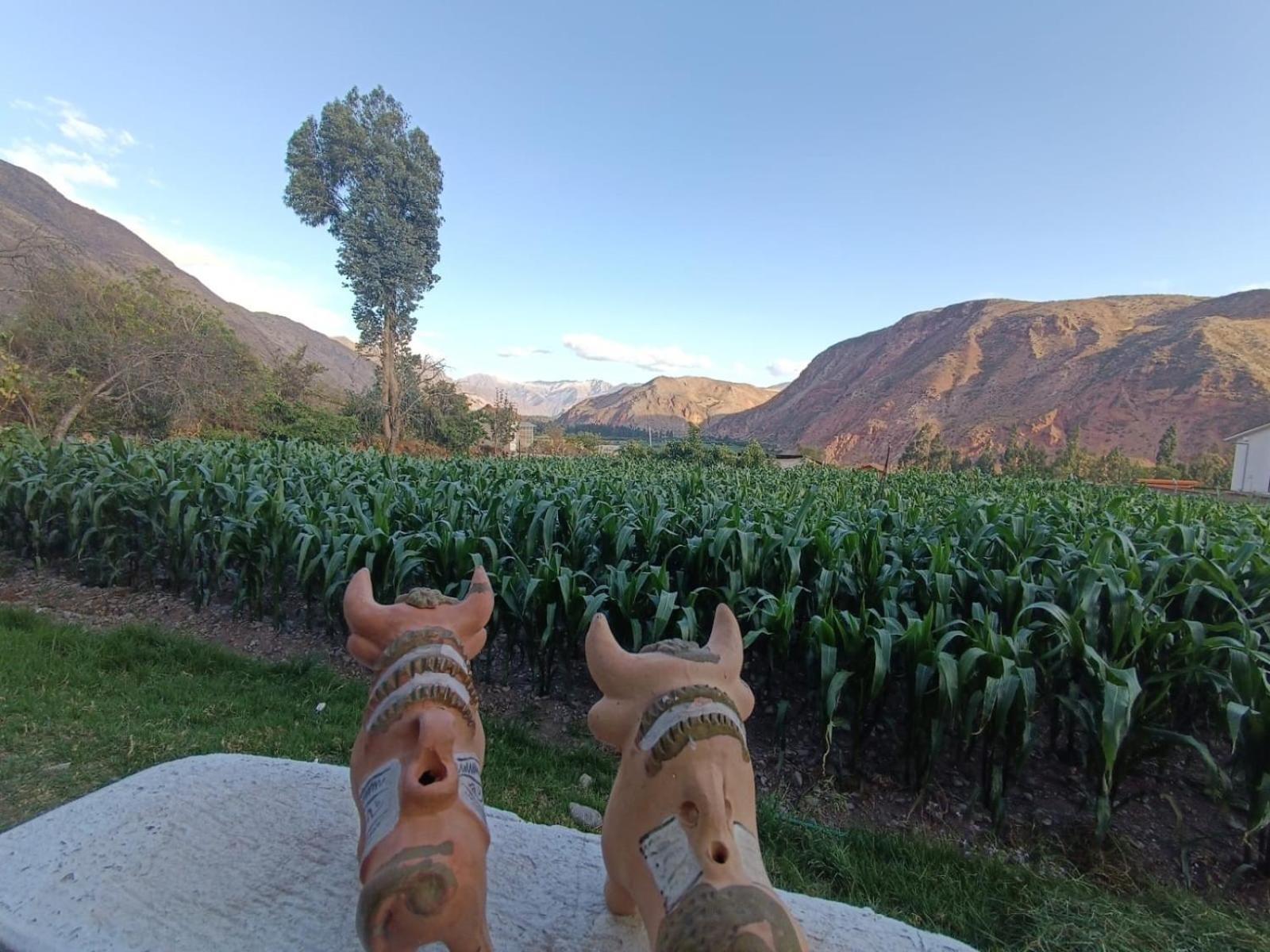Casa Yanahuara Valle Sagrado - Urubamba Esterno foto